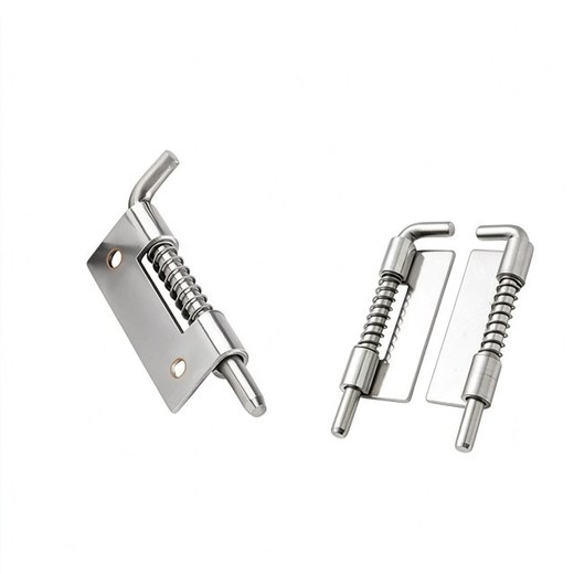 Stainless Steel Spring Gate Bolt